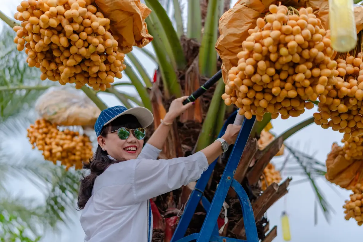 ย้อนรอยความสำเร็จ  "Thai Craft Destination"  ปักหมุดท่องเที่ยวยั่งยืน