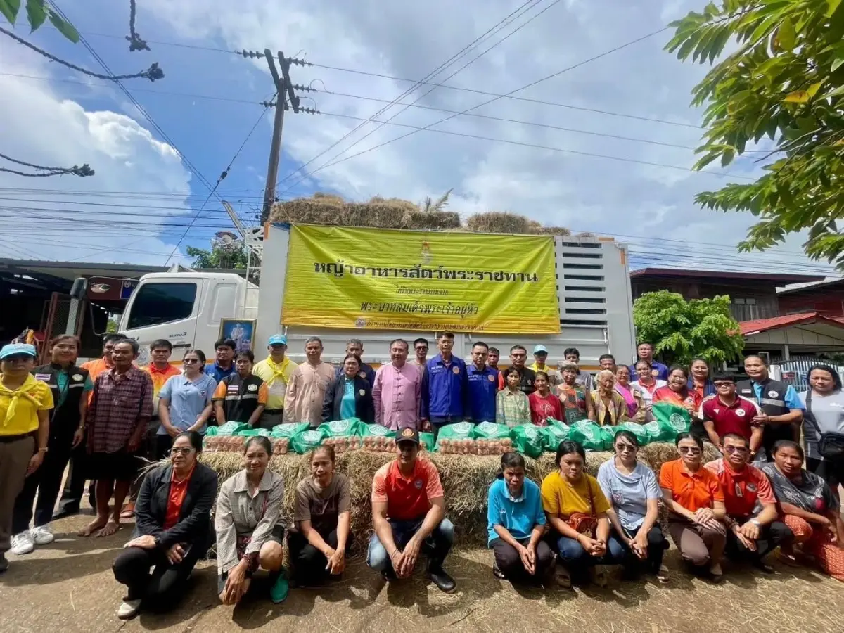 กรมปศุสัตว์ เร่งช่วยเหลือผู้เลี้ยงสัตว์ที่ได้รับผลกระทบจากพายุ ‘คาจิกิ’ อย่างเต็มที่