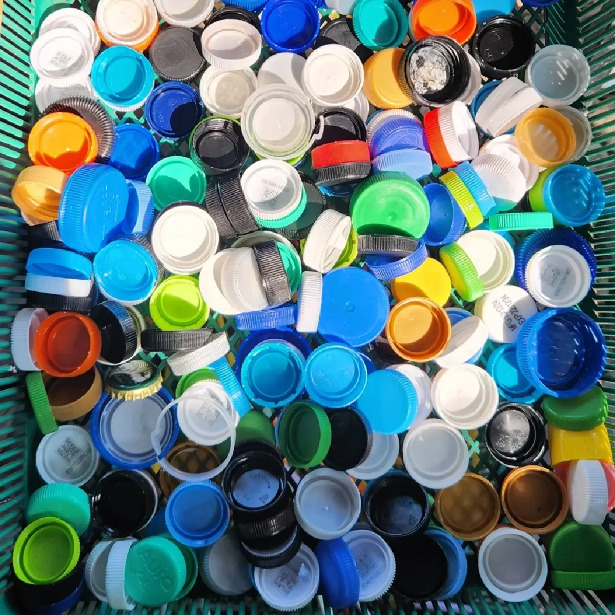 รับบริจาคฝาขวดพลาสติก สร้างโต๊ะ - เก้าอี้นักเรียน มอบให้โรงเรียน