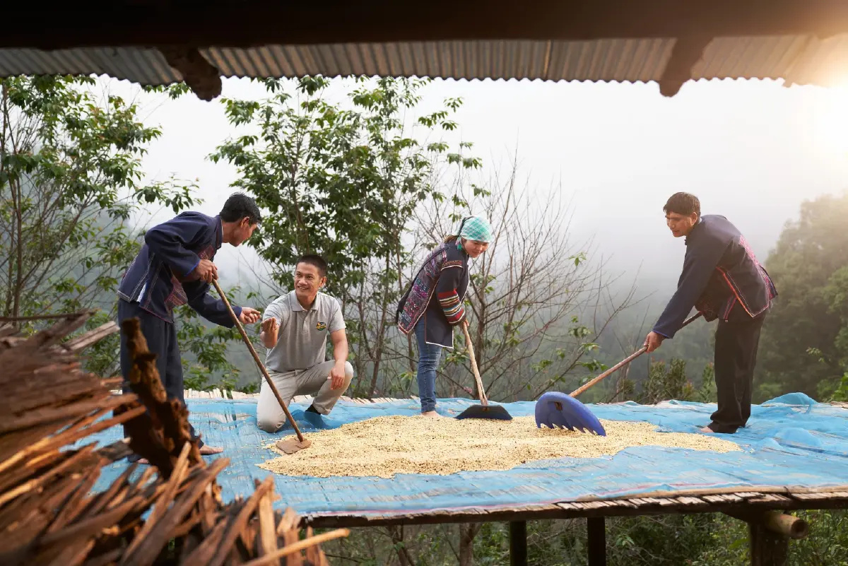 Café Amazon กับโมเดล 'กาแฟยั่งยืน' ครบวงจร หนุน เศรษฐกิจ-สิ่งแวดล้อม-สังคม