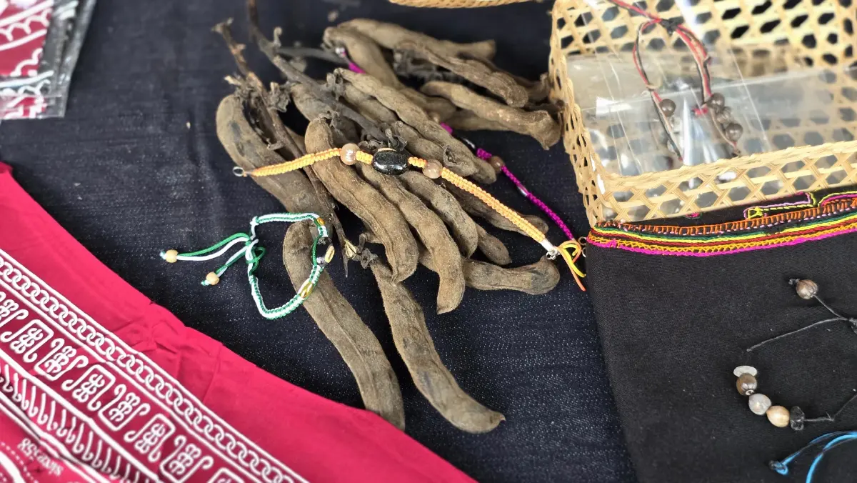 ชวนไป 'อาบป่า' กับ ‘ญัฮกุร’ ชุมชนมอญโบราณ สมัยทวารวดีในไทย