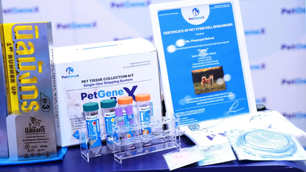 ครั้งแรกในไทย ใช้ ‘สเต็มเซลล์’ รักษา ‘สัตว์เลี้ยง’ ที่เรารัก