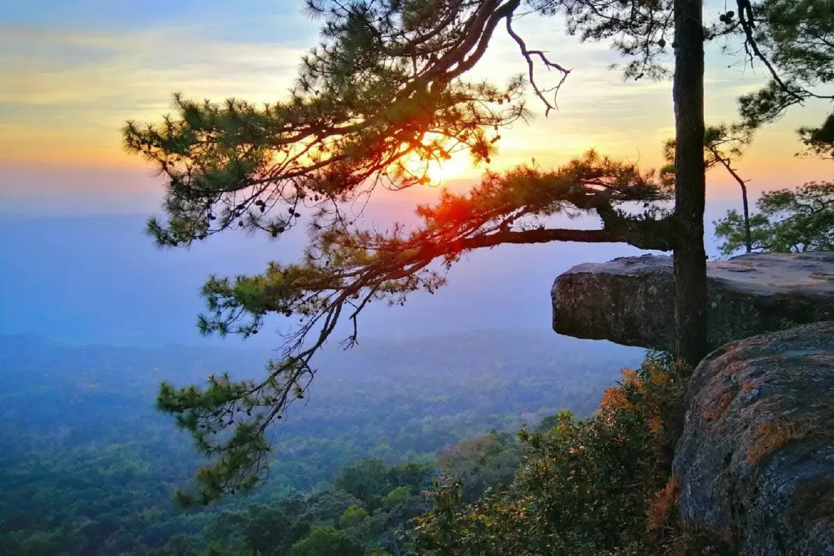 ตอกย้ำความสำเร็จ! กรมอุทยานฯ คว้า 4 รางวัล Thailand Tourism Awards 2025