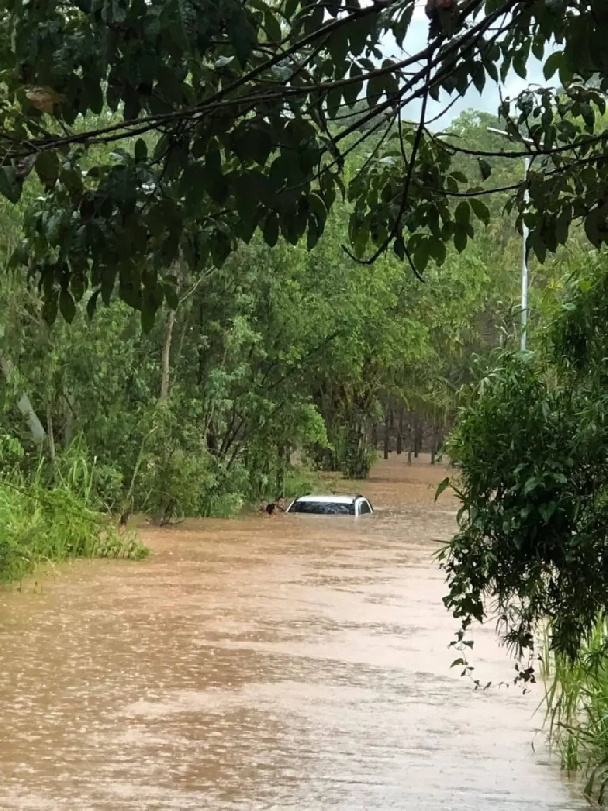 เลยอ่วม! พายุมิแทก ทำพิษ ภูเรือน้ำป่าไหลหลาก รถจมน้ำเกือบมิดคัน