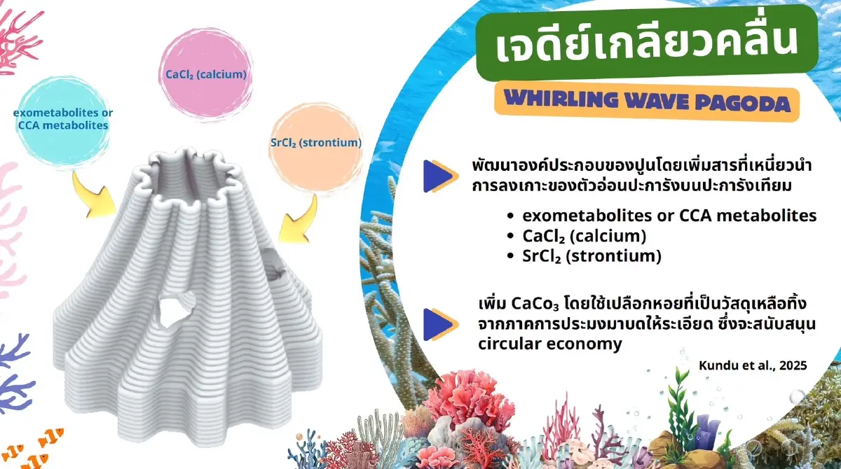 นวัตกรรมกู้ทะเล! '3D Printing' ออกแบบฐานให้ตัวอ่อนปะการัง