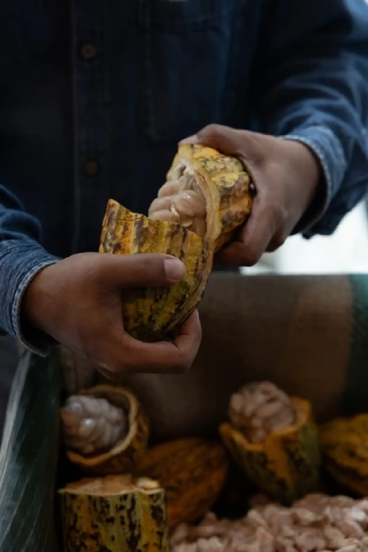 ‘ชิมช็อกโกแลต’ Afternoon Tea ใน Luxury Dining Series 2025