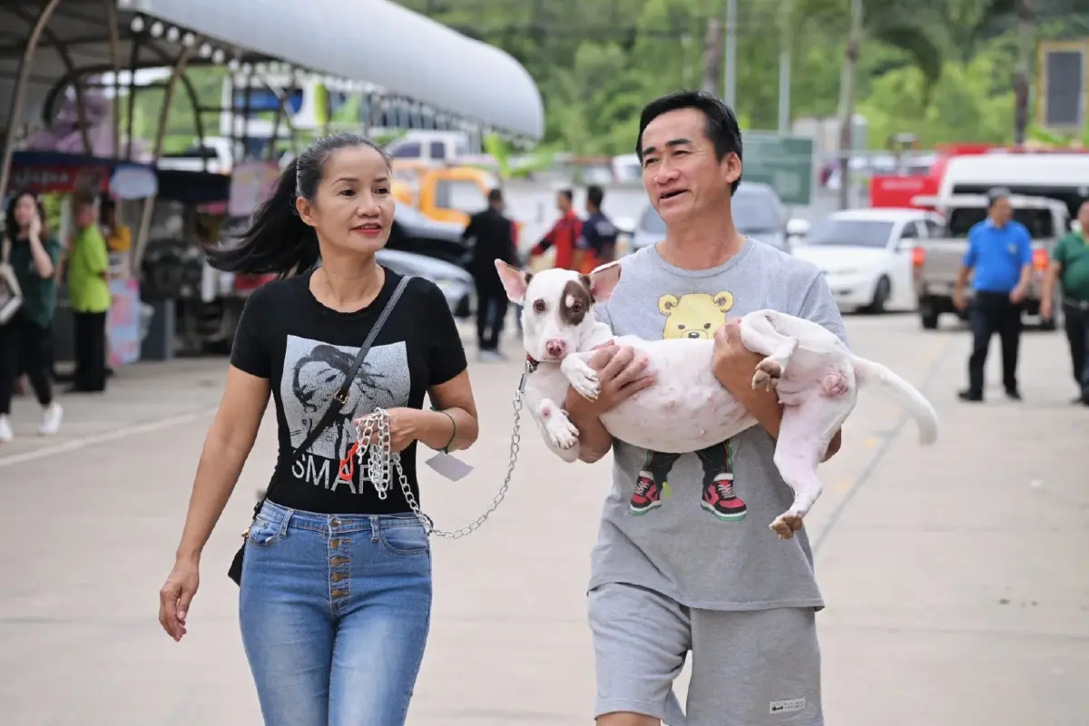 'ปศุสัตว์' เร่งทำหมัน ฉีดวัคซีน หมา แมว ป้องโรคพิษสุขบ้า