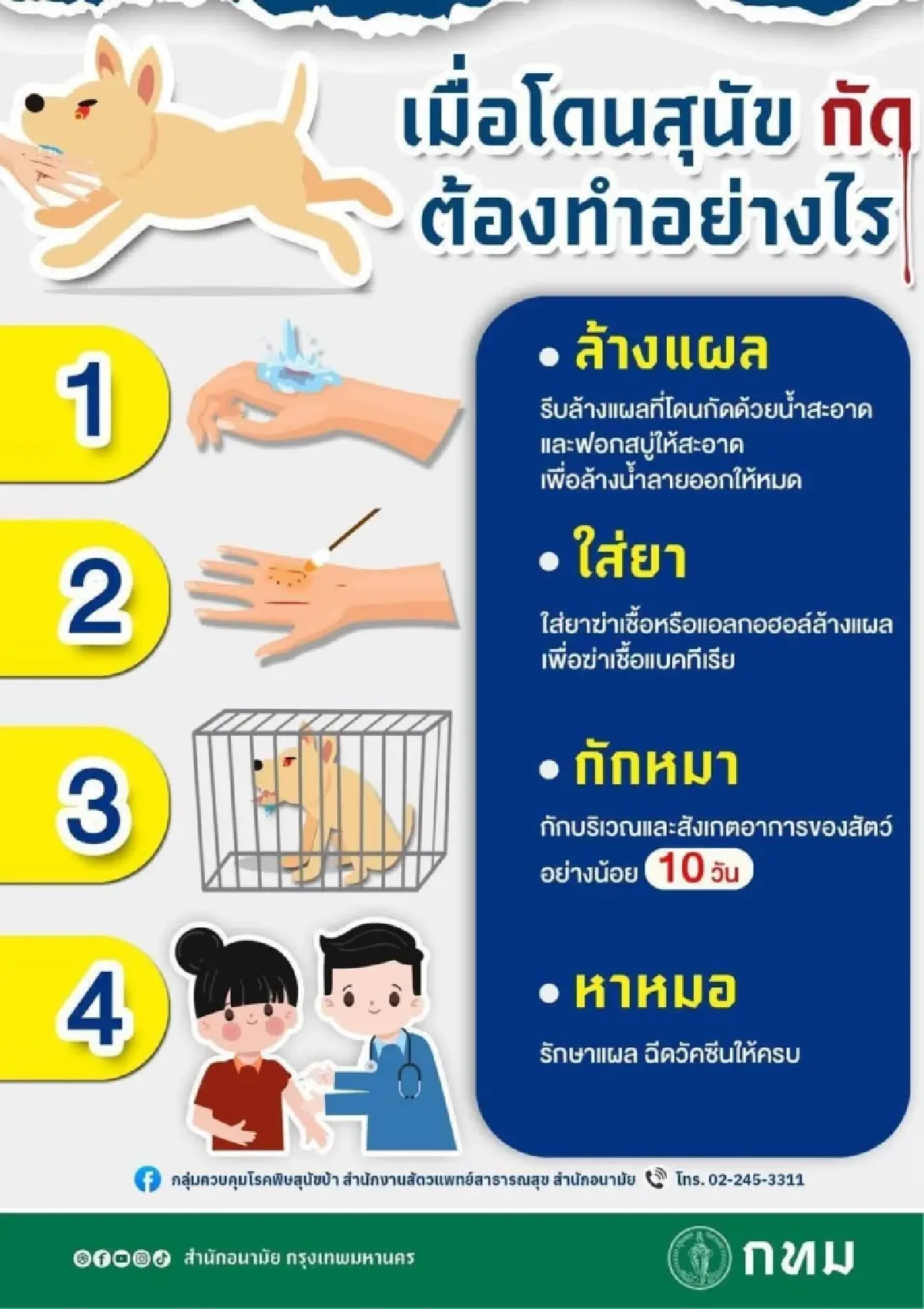ประกาศเขตโรคระบาด 1 เดือน โรคพิษสุนัขบ้าแพร่ ปทุมธานี - สายไหม กทม.
