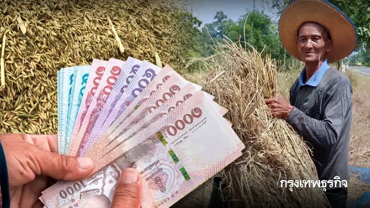 เงินไม่เข้า ทำยังไง? ช่วยเหลือไร่ละ 1,000 วิธีตรวจสอบสถานะ โอนจริง