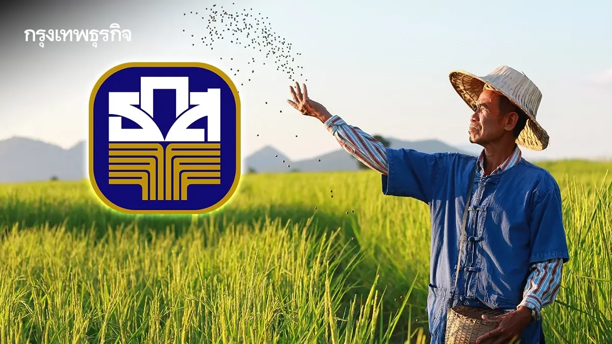 โอนรอบสุดท้าย เงินเข้าแล้ว ไร่ละ 1000 ถึงมือ รัฐจ่ายชาวนาปรัง 68