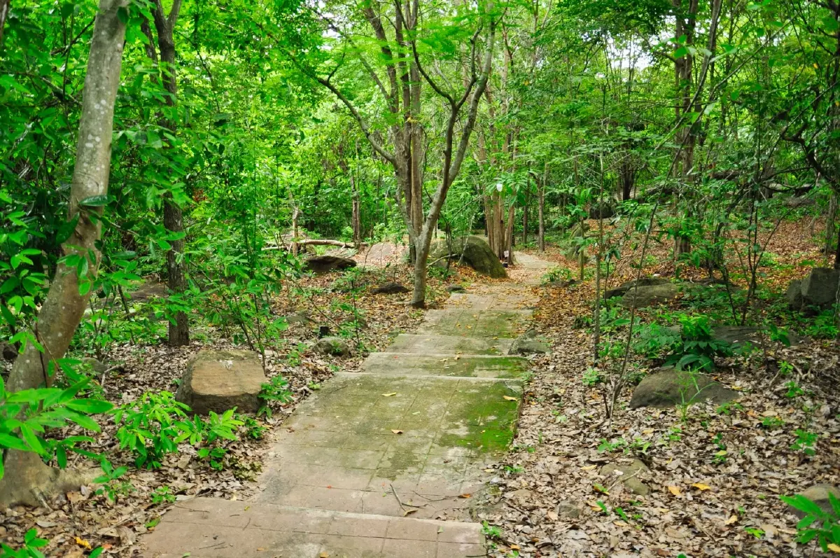 รากปราสาท...ที่บ้านกรวด