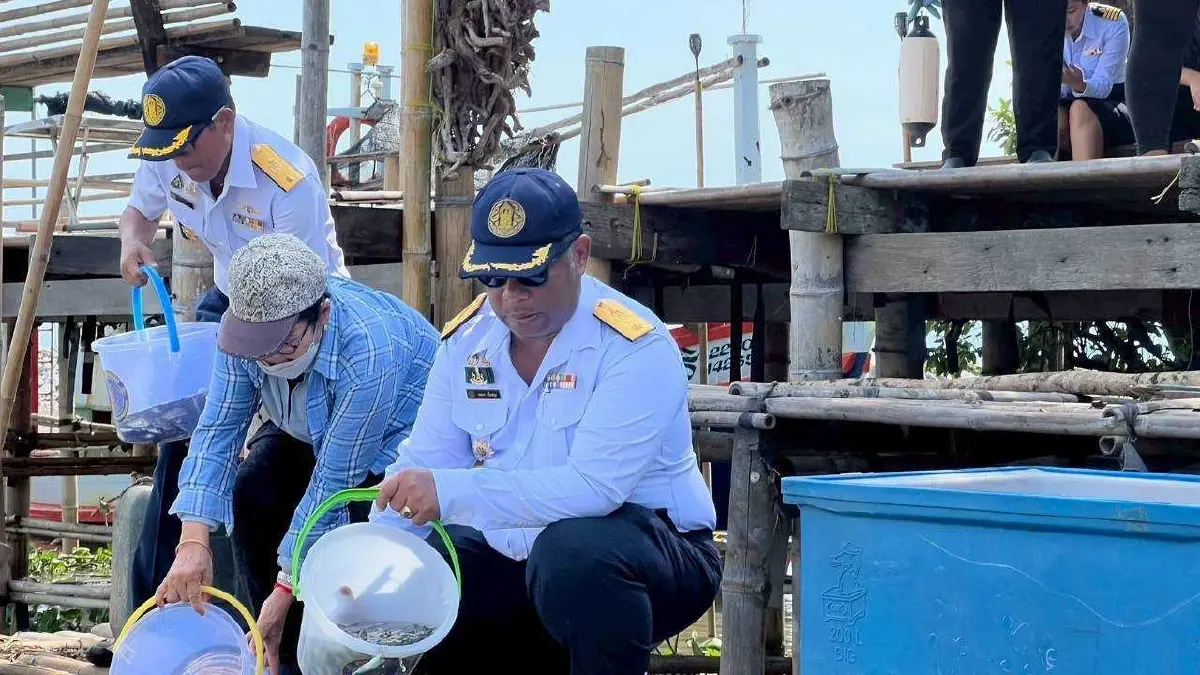 ประมงผนึกซีพีเอฟ ปล่อยปลานักล่าปลาหมอคางดำต่อเนื่อง ฟื้นสมดุลแหล่งน้ำ