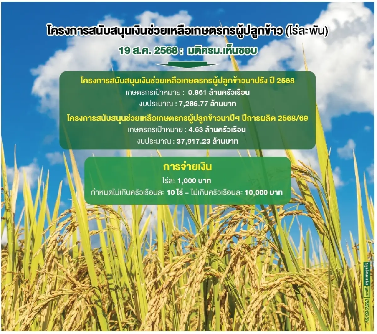 ชาวนา 3.3 ล้านครัวเรือนแห่รับ‘ไร่ละพัน’  ‘เกษตร’ตรวจข้อมูลก่อนส่ง‘ธกส.’เร่งจ่าย
