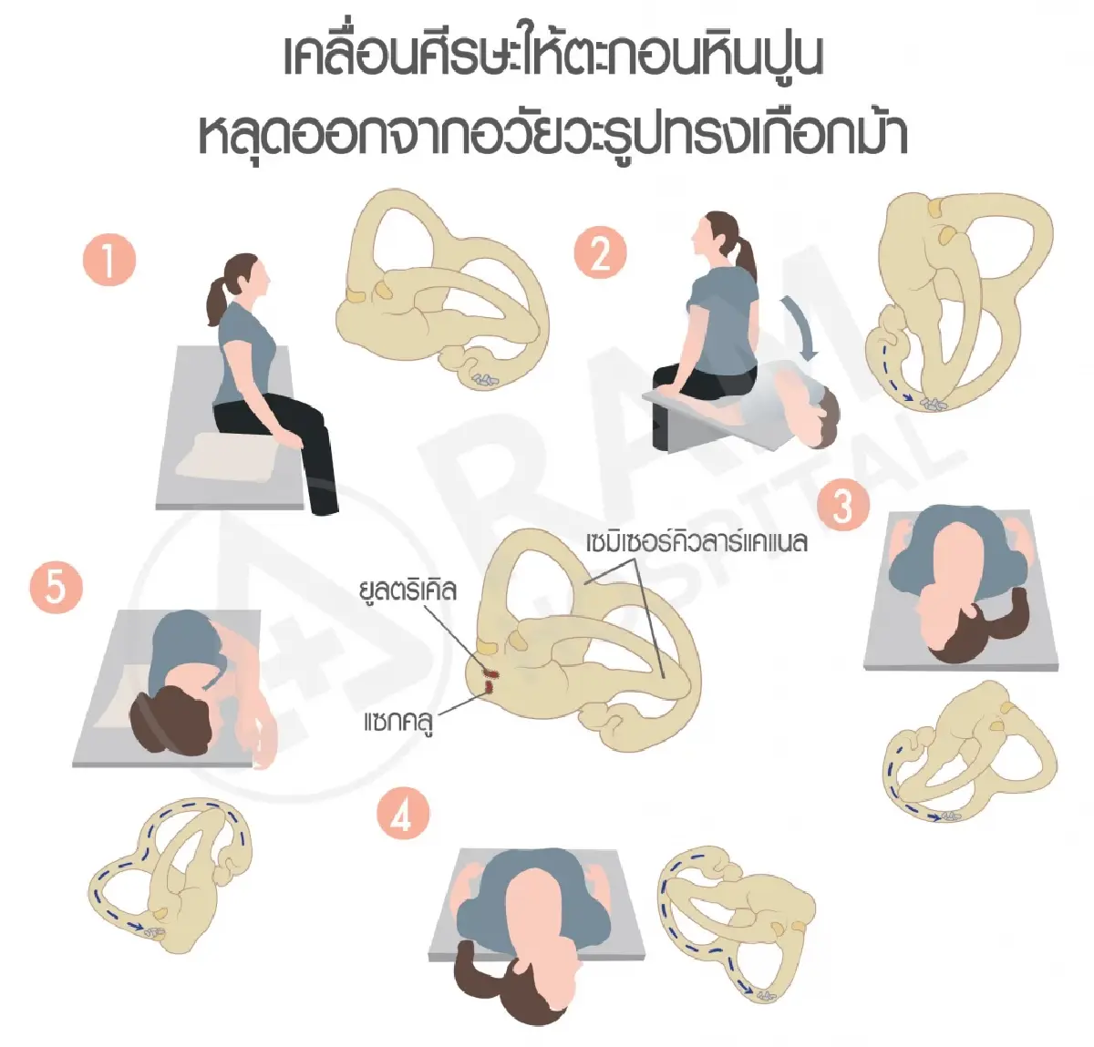 'อาการบ้านหมุน เวียนหัว' ต้นเหตุของการเกิดโรคอะไร? ได้บ้าง