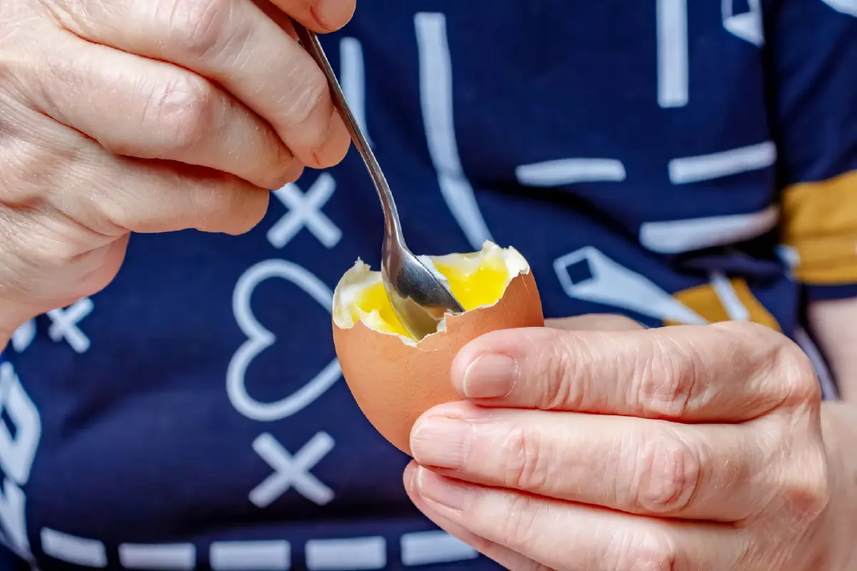 ไข่ไก่ กินทุกวัน สุขภาพดีทุกวัย บำรุงสมอง ดวงตา และร่างกาย