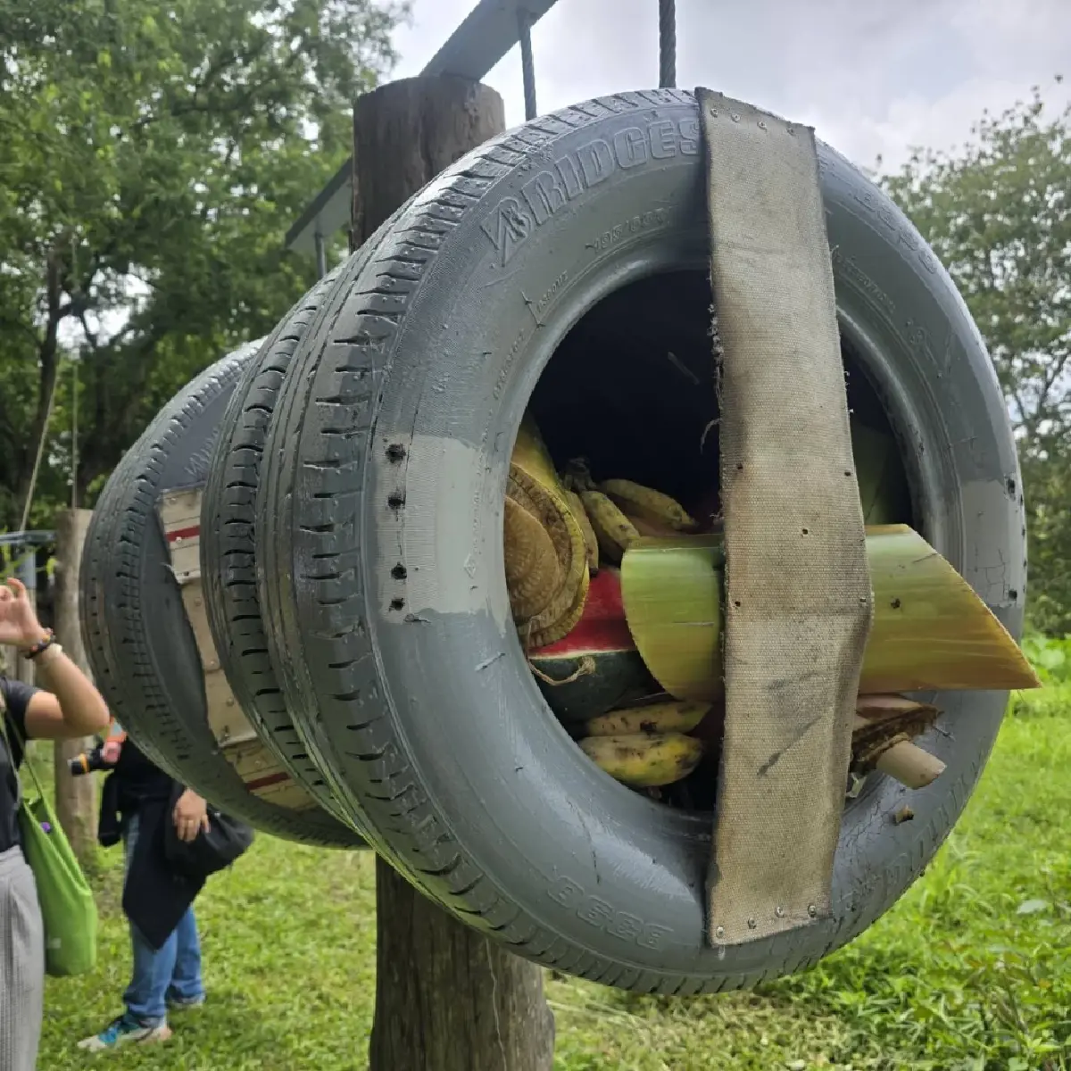 เที่ยว 'ปางช้าง' อย่างเป็นมิตร ไม่ขี่ช้าง ไม่อาบน้ำกับช้าง