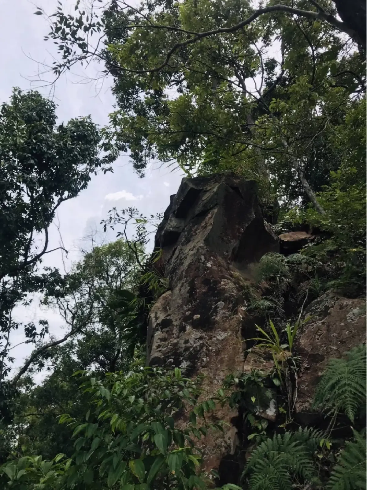 ฮือฮา พบแหล่งโบราณคดีแห่งใหม่ "ผาปางเปือย" บนยอดเขาภูขัด พิษณุโลก