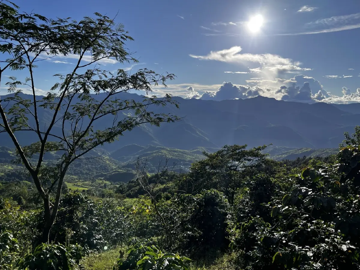 ขุนน่าน คอฟฟี่ 'สงวนสิทธิ์ เรืองดำ'  กับภารกิจ 'คืนผืนป่าให้แม่ด้วยกาแฟพ่อ'