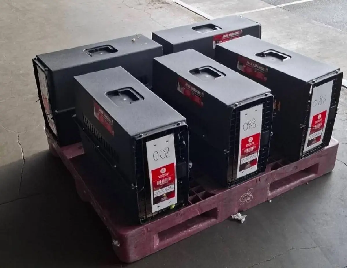 ปศุสัตว์ ส่งออก ‘Ayam Bangkok’ไทยแลนด์สู่อินโดนีเซีย เพิ่มต่อเนื่อง