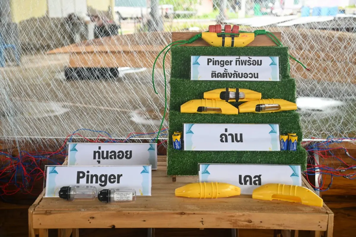 สหรัฐ ผ่านมาตรฐาน MMA ให้ไทยส่งออกสัตว์น้ำได้ ทำประมงไม่กระทบโลมา