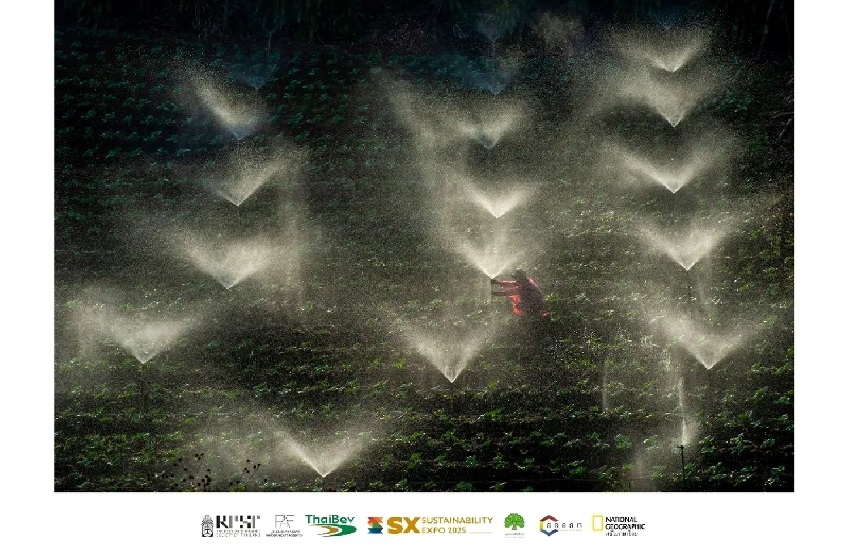 7 ไฮไลต์ศิลปะและความยั่งยืนใน Sustainability Expo 2025 (SX2025)