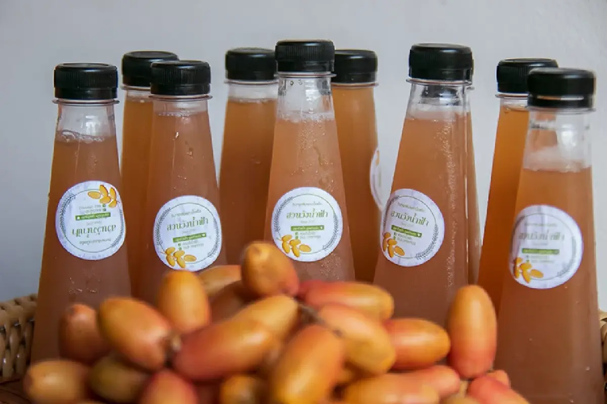 หนึ่งดวงใจในป่ากว้าง แหล่งชมผีเสื้อ 'ปางสีดา' สีสันแห่งปีกบาง