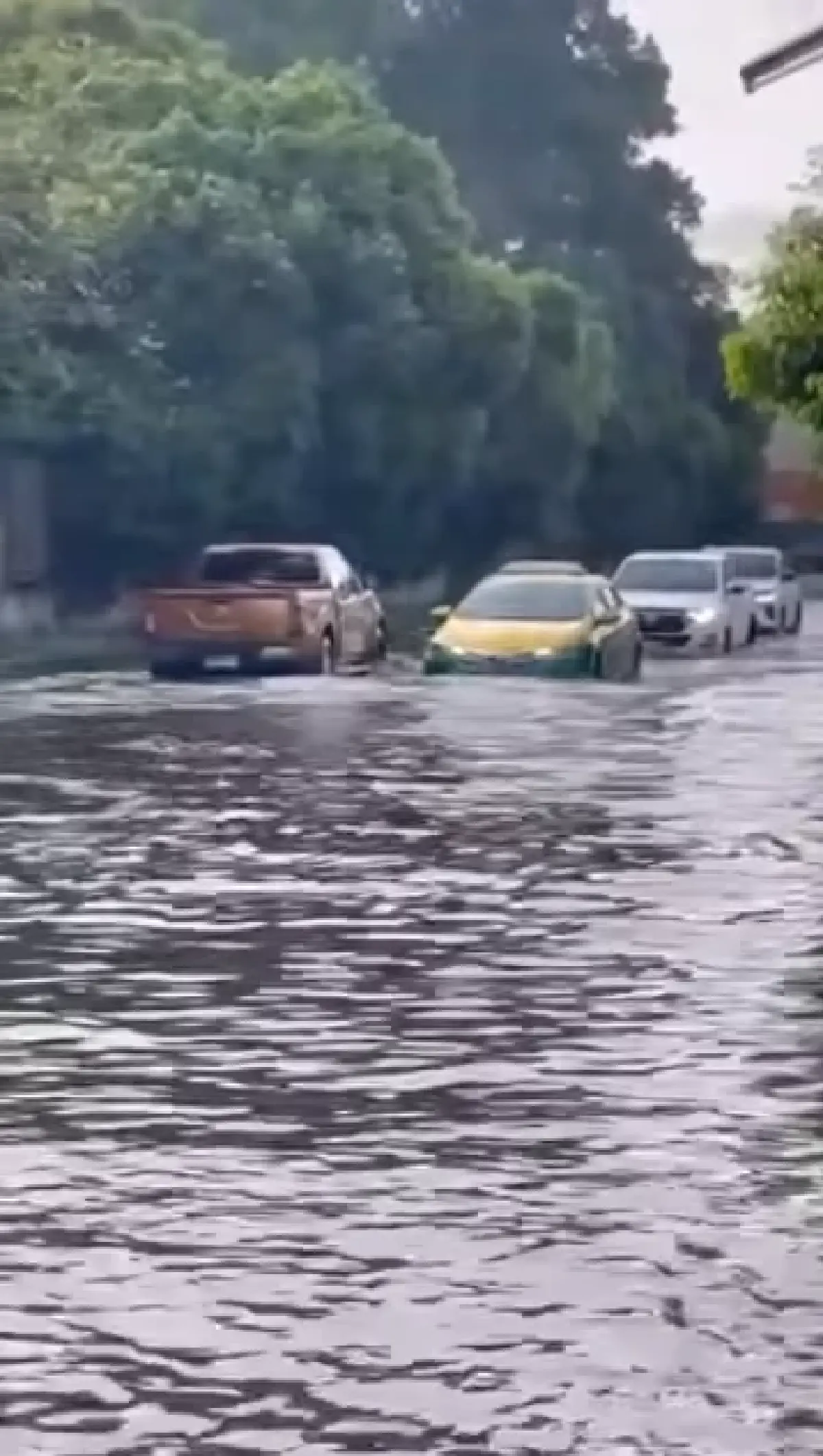 รถติด น้ำท่วมกรุงเทพ น้ำรอระบาย สุขุมวิท พัฒนาการ ศรีนครินทร์ เช็ก