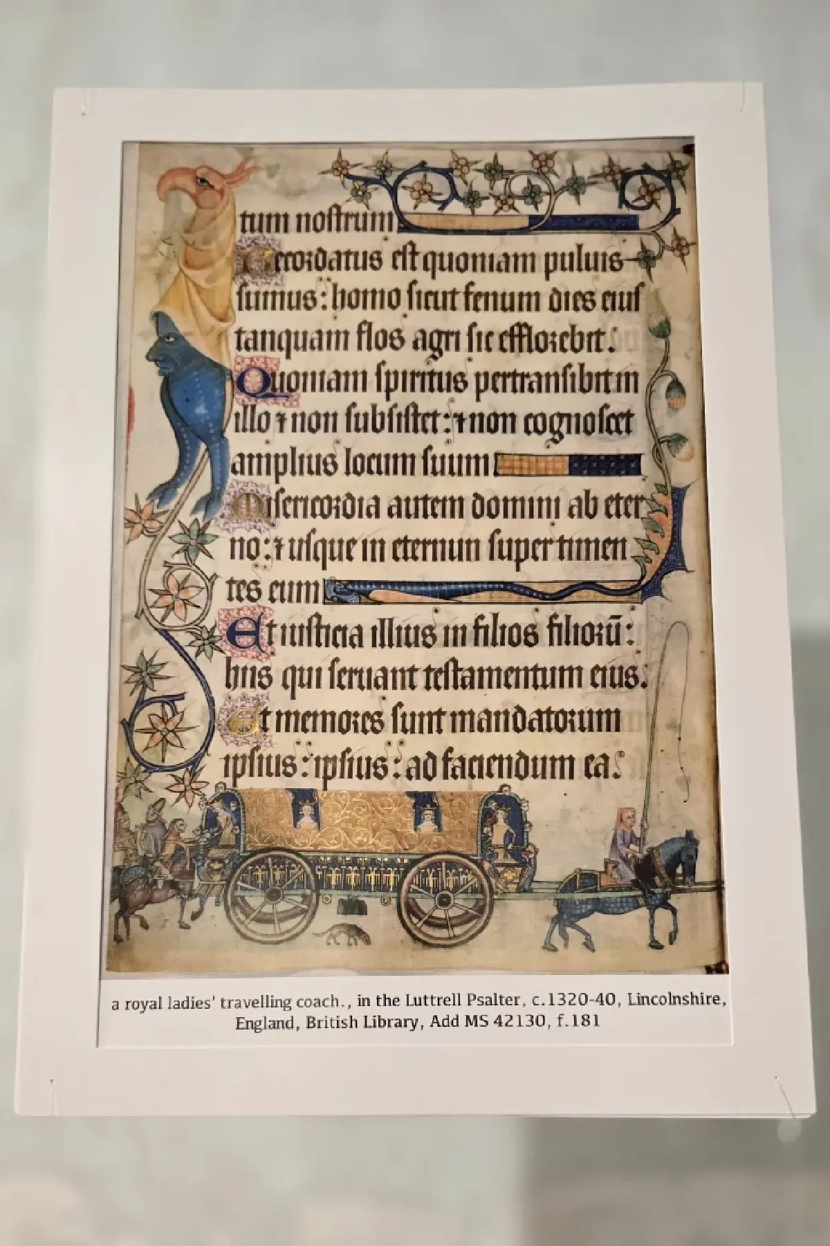 ค้นหา ‘ความหมาย’ ของชีวิต จากภาพ ‘สัตว์’ ในศิลปะยุคกลาง