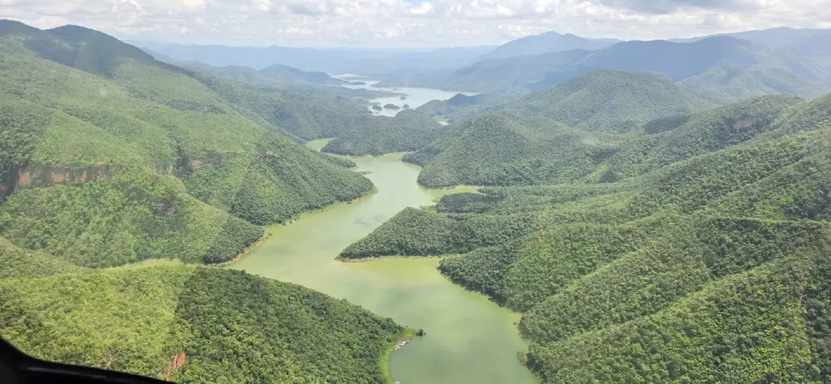 'ป่าแม่ตื่น' แหล่งไม้สักไทย ผลิดอกเหลืองสะพรั่ง ท่ามกลางแก๊งตัดไม้คุกคาม