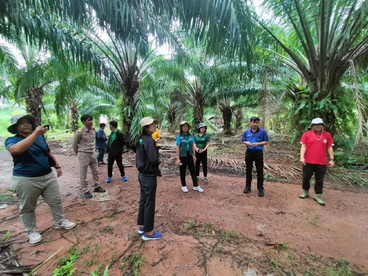 กรมส่งเสริมการเกษตร ดึงดิจิทัลปรับฐานข้อมูล Geoplots รับมือ EUDR