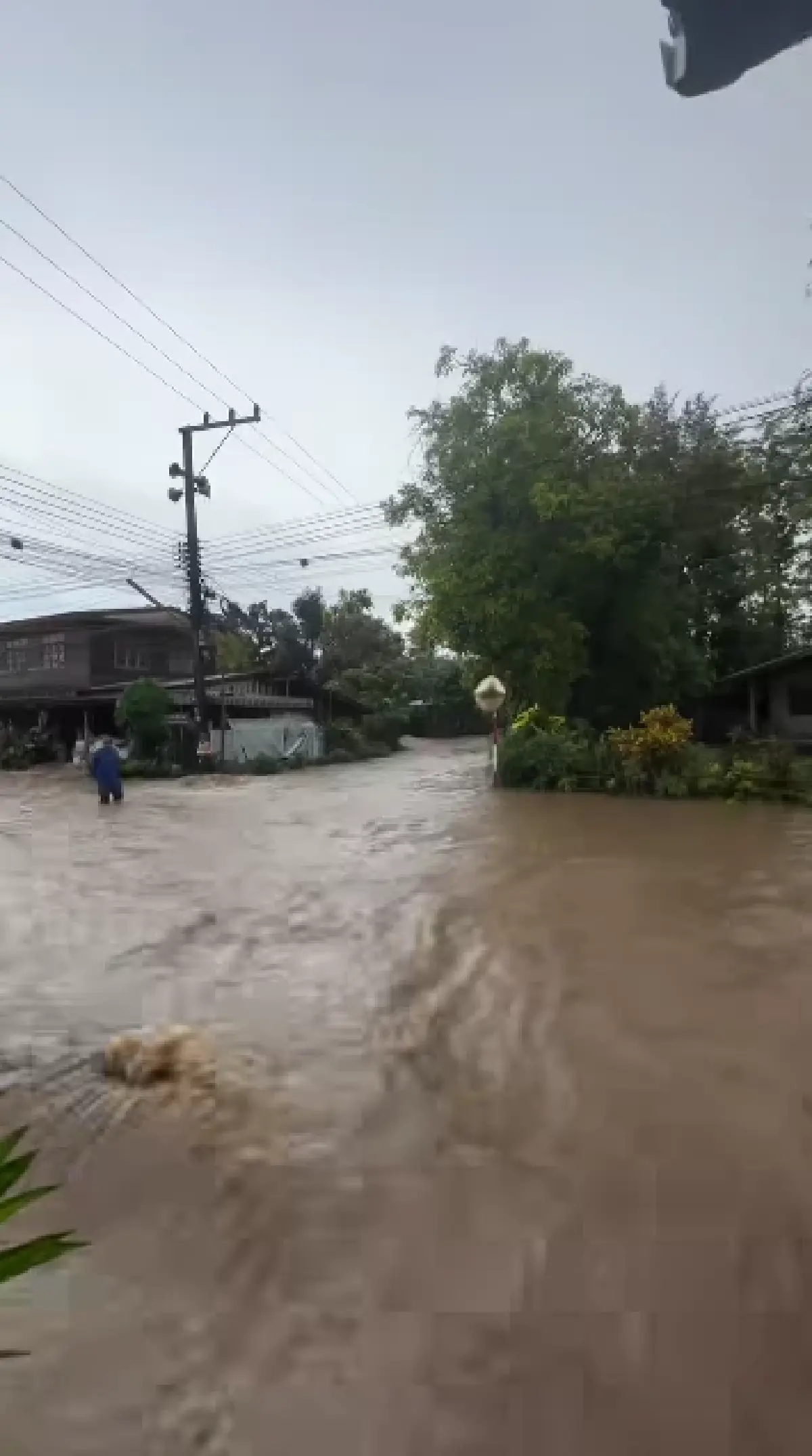 น้ำป่าซัดท่วม อ.วังสะพุง จ.เลย ระดับน้ำขึ้นเร็วมาก 4 หมู่บ้านอ่วม