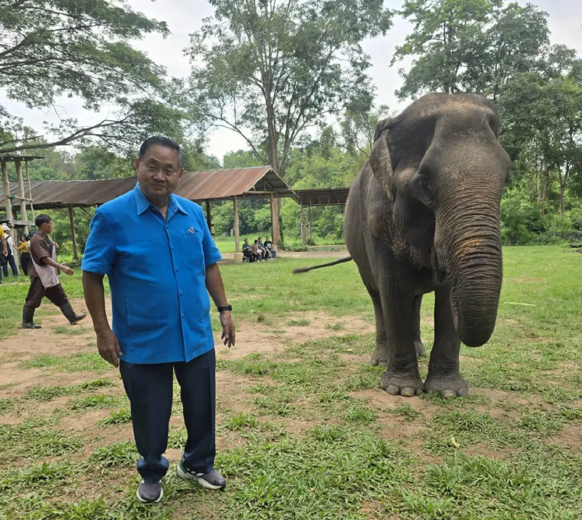 เที่ยว 'ปางช้าง' อย่างเป็นมิตร ไม่ขี่ช้าง ไม่อาบน้ำกับช้าง