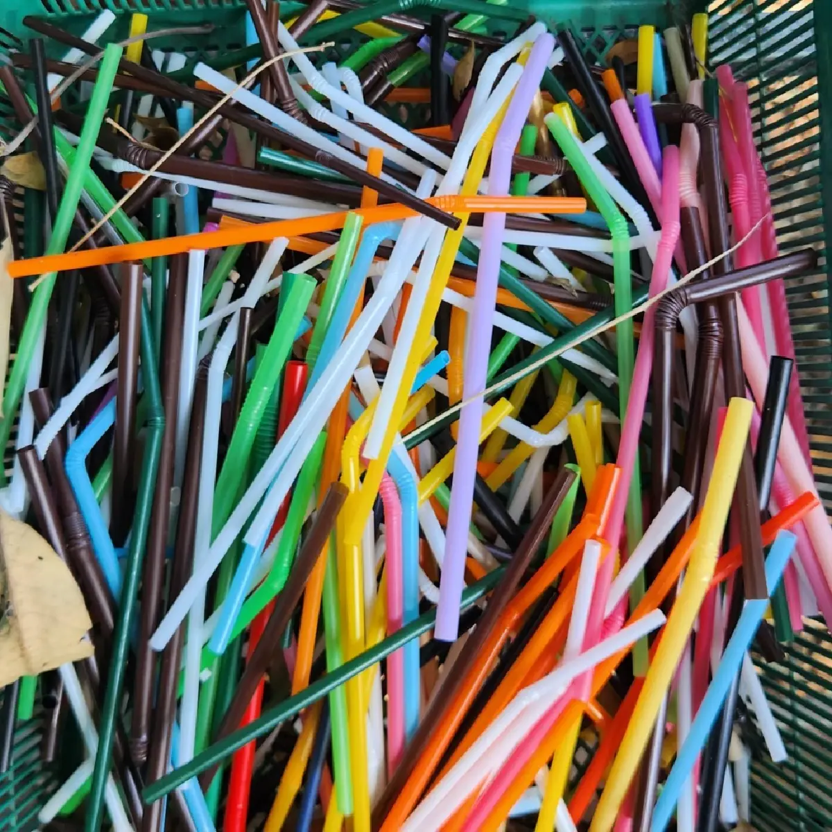 รับบริจาคฝาขวดพลาสติก สร้างโต๊ะ - เก้าอี้นักเรียน มอบให้โรงเรียน