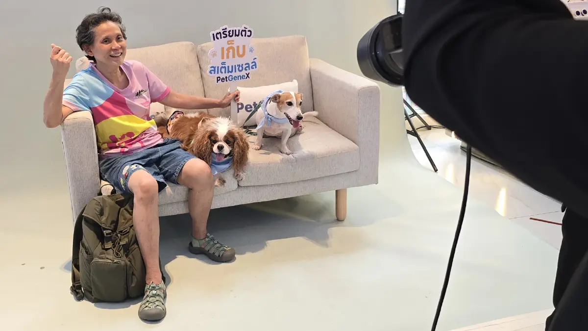 ครั้งแรกในไทย ใช้ ‘สเต็มเซลล์’ รักษา ‘สัตว์เลี้ยง’ ที่เรารัก