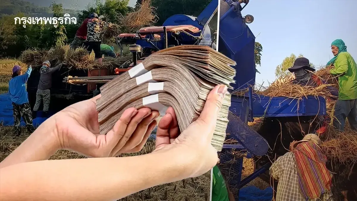 จ่ายแล้ว เงินช่วยเหลือชาวนา ไร่ละ 1000 ตรวจสอบสิทธิ์ ธกส. โอนเข้า