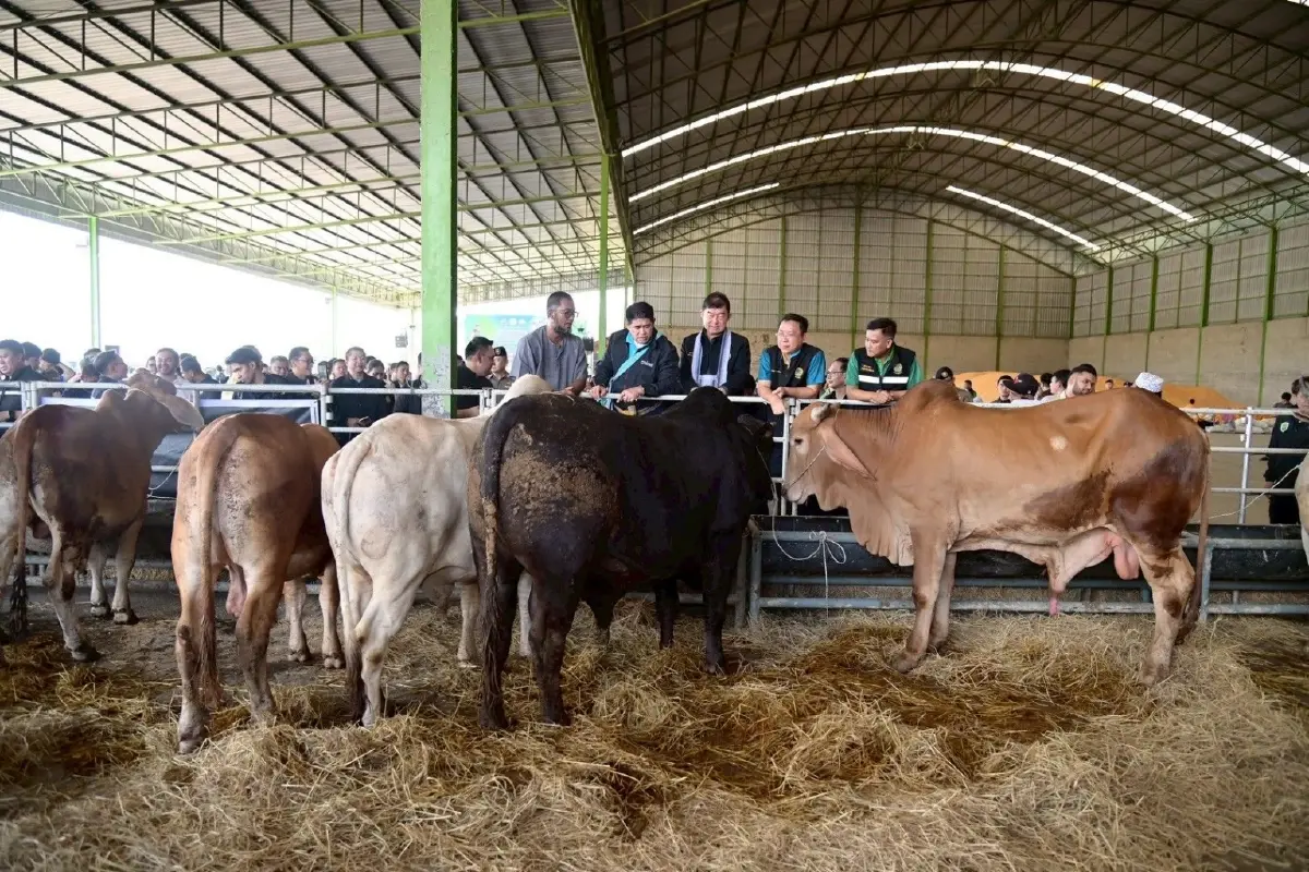 ธรรมนัส แก้ปัญหาราคาโคตกต่ำ เคาะปรับกิโลกรัมละ 80 บาทใน 3 เดือน