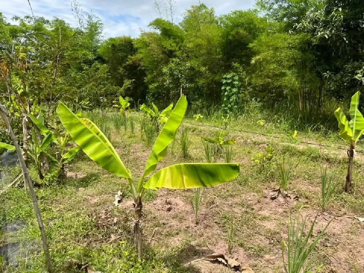ส.ป.ก.MOU ม.เกษตรฯ ร่วมพัฒนาบุคลากร ยกระดับการปฏิบัติงานอย่างมีประสิทธิภาพ