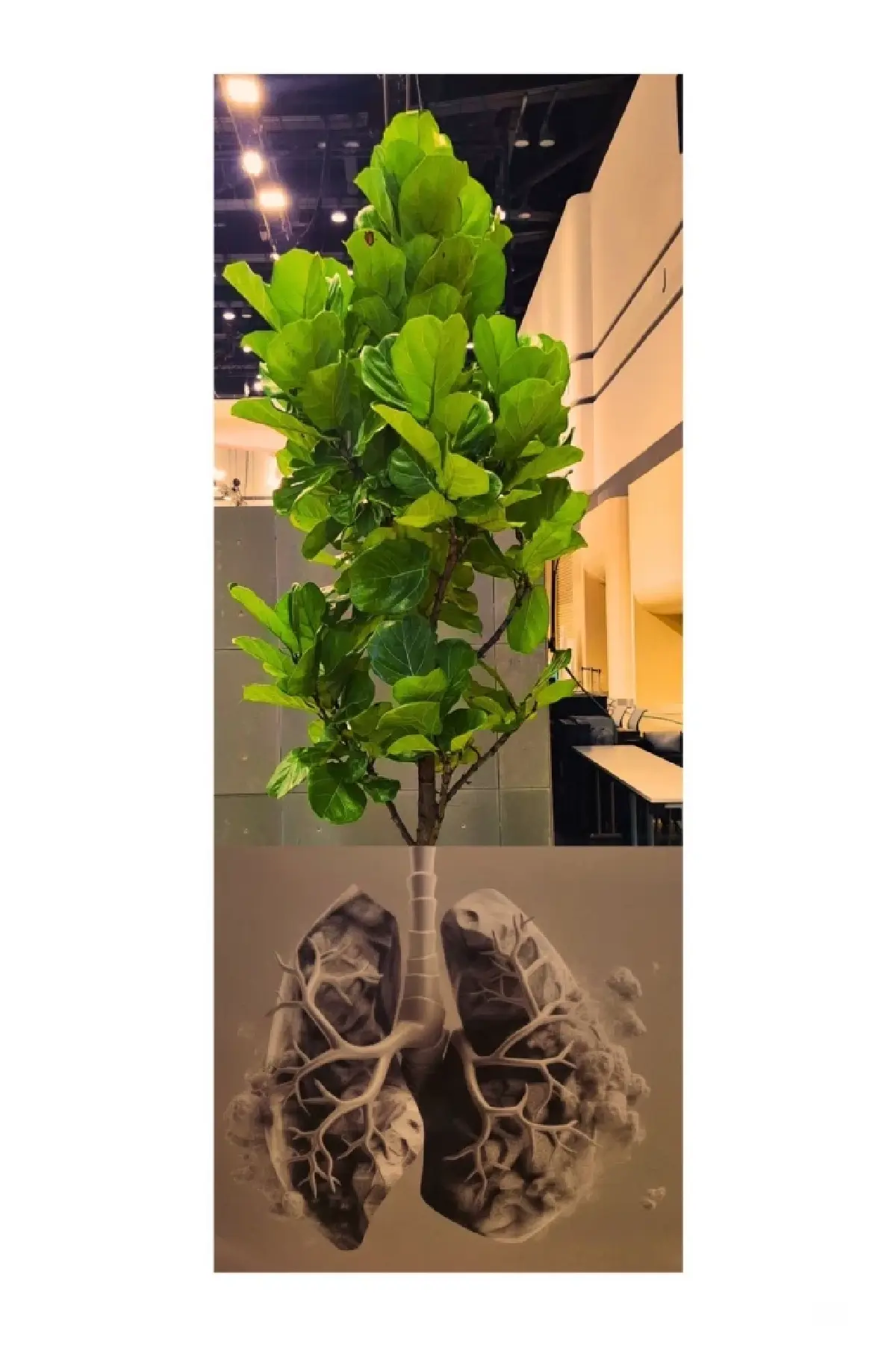 ประกาศผลรางวัลกิจกรรมแข่งขันถ่ายภาพ DUO SHOTS KNOCKOUT X eisa ครั้งที่ 2