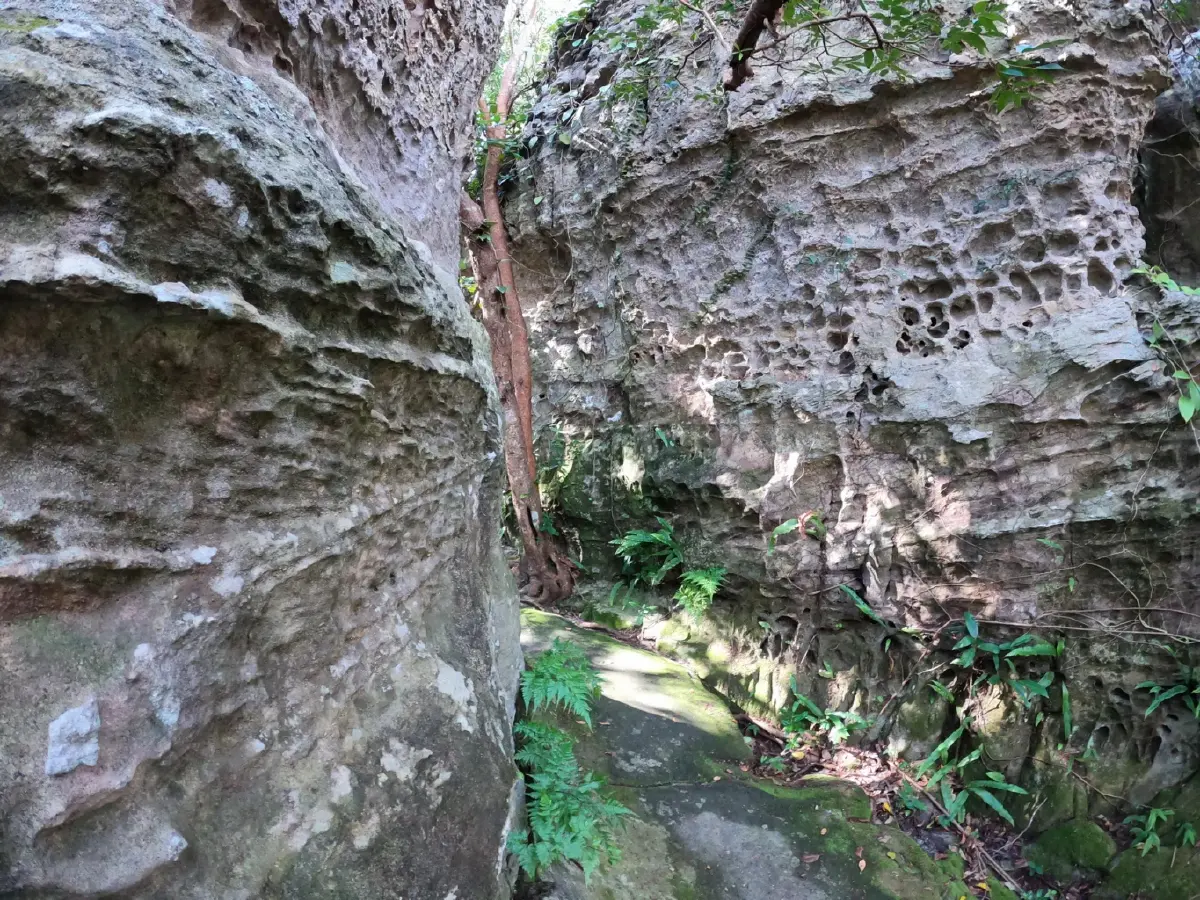 ดินแดนสงบและความพิศวงทางธรณี... วัดเขาประตูชุมพล