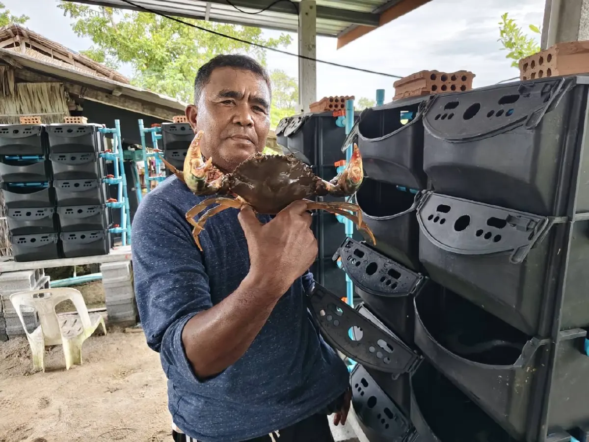 ‘ปูขาวอินทรีย์’  สินค้าเศรษฐกิจตัวใหม่ สร้างมูลค่าและเพิ่มรายได้ให้เกษตรกร