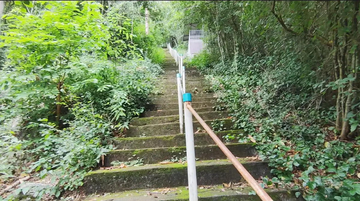 ถ้ำอะไร ...ขนาดไก่ยังหล่น