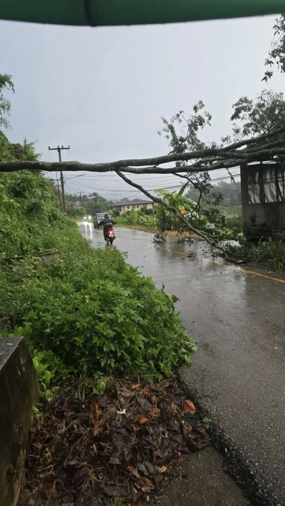 ฝาง-แม่อาย เชียงใหม่ น้ำท่วมหนักสุด น้ำเกินวิกฤตแดง ระวังดินถล่ม