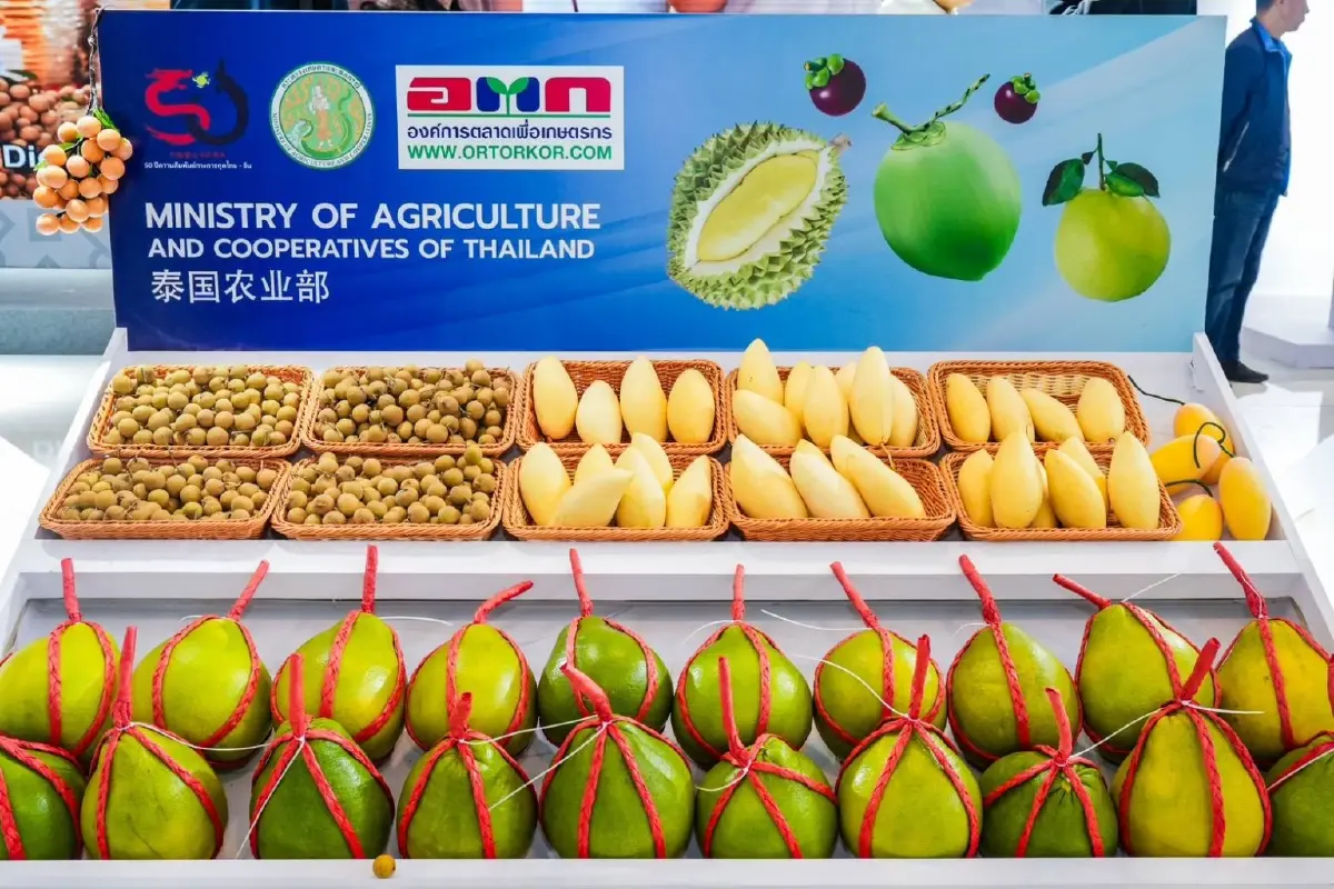 กระทรวงเกษตรฯ  ขนทัพผลไม้ โชว์งาน CATF ทุเรียนฟีเวอร์สุด ครองใจผู้บริโภคจีน