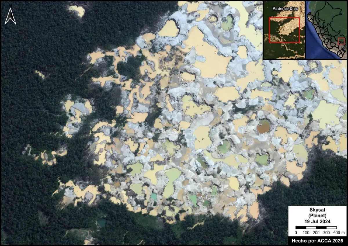 ‘ป่าแอมะซอน’ ถูดตัดทำ ‘เหมืองทองผิดกฎหมาย’ เสียหาย 875,000 ไร่ 