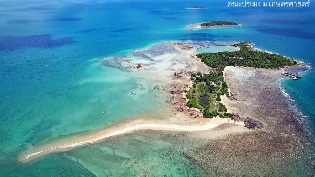 สมเด็จพระพันปีหลวง ทรงห่วงใย ‘เต่าทะเล’ ยก ‘เกาะมันใน’ ให้เป็นศูนย์อนุรักษ์