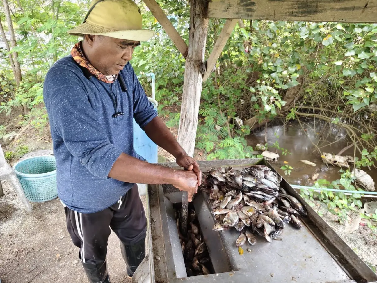 ‘ปูขาวอินทรีย์’  สินค้าเศรษฐกิจตัวใหม่ สร้างมูลค่าและเพิ่มรายได้ให้เกษตรกร