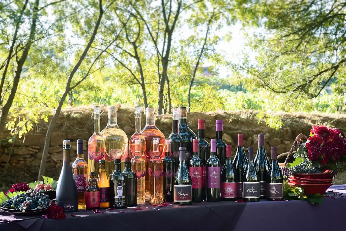 ‘คาสติญโญ’ อาณาจักรไวน์และความฝัน ของ ‘มาร์ค เวอร์สแตรท’