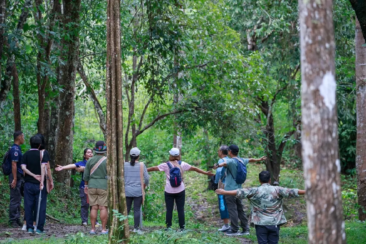 ชวนไปอาบป่า เที่ยวขุนขาน บ่อแก้ว สะเมิง ลิ้มรสอาหาร 4 ชนเผ่า