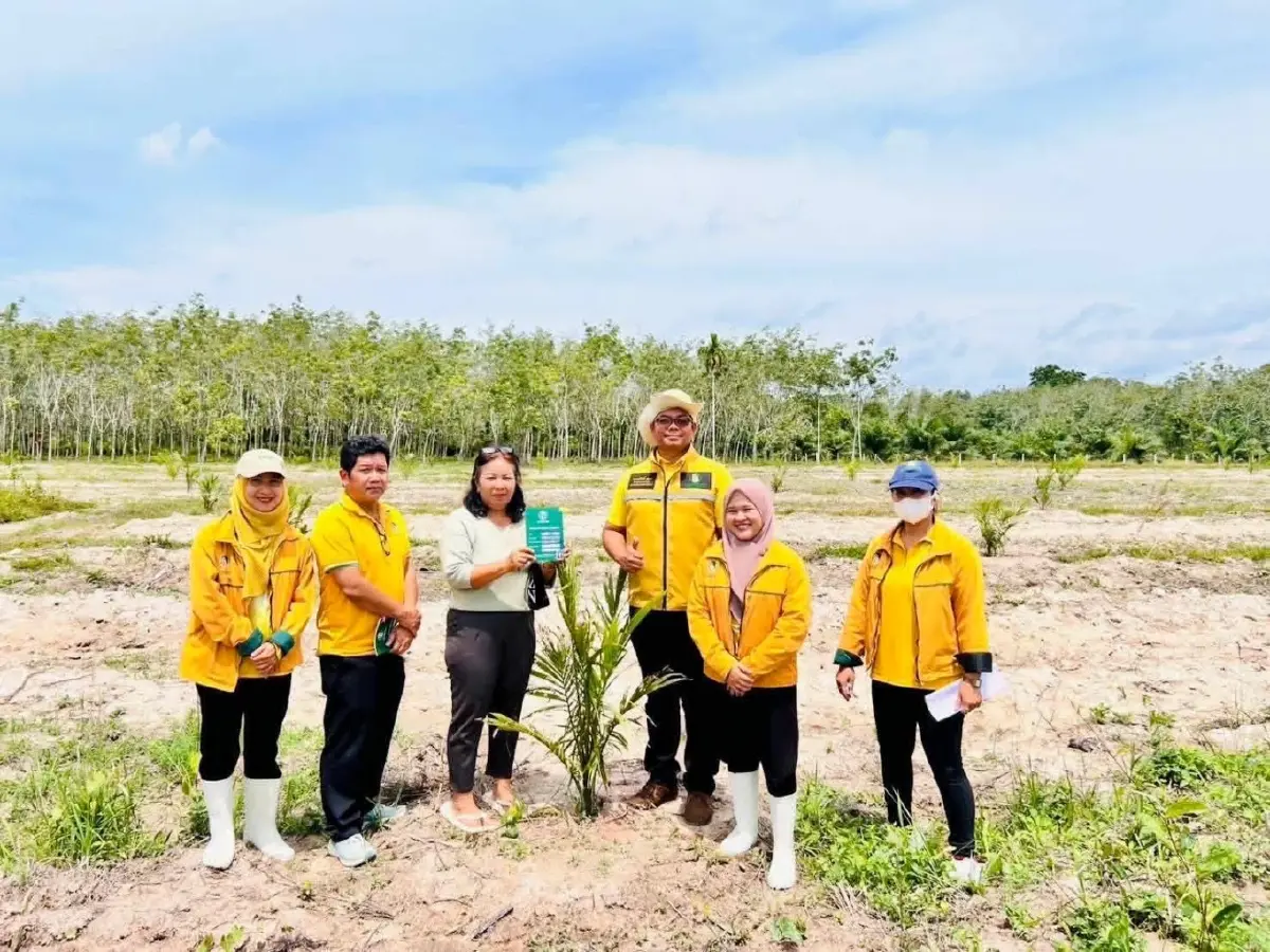 เริ่มแล้ว กยท. หนุนเกษตรกร ปลูกแทนยางพาราสู่ความยั่งยืนปี 69