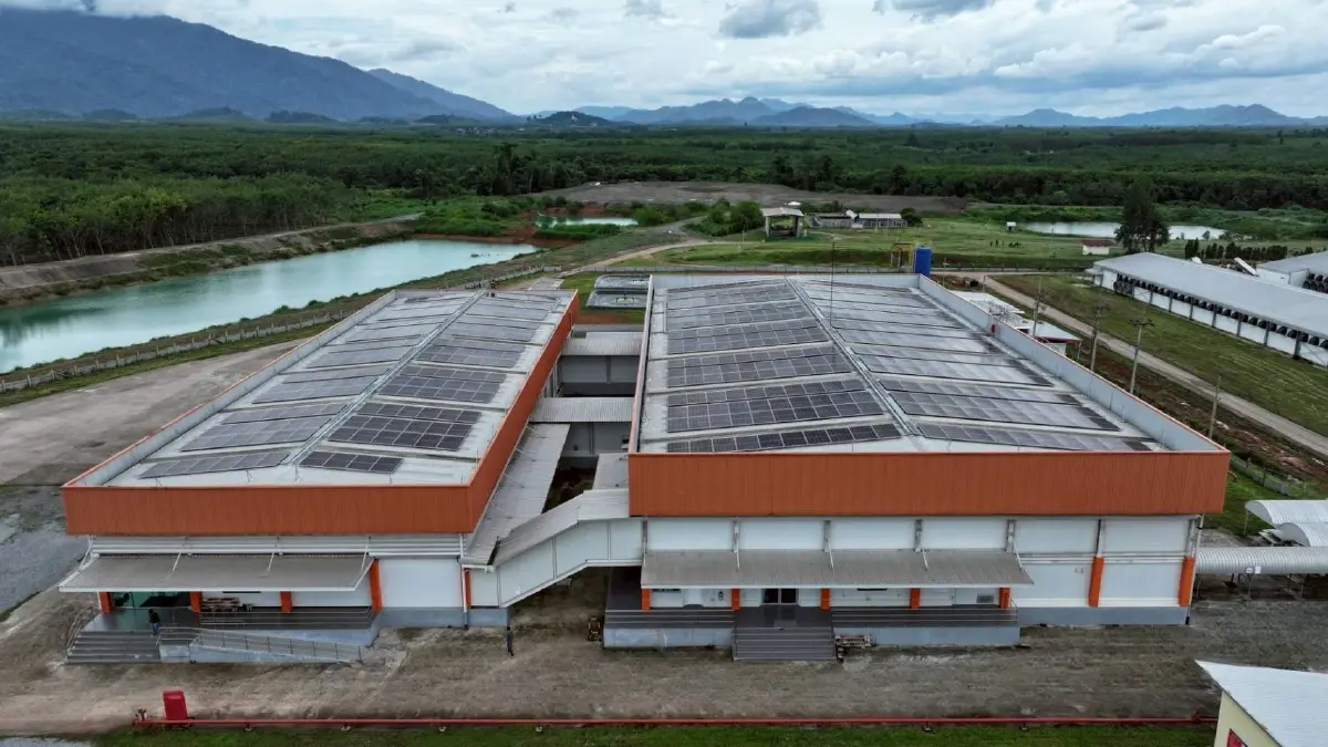 'ฟาร์มไก่ไข่จันทบุรี' ซีพีเอฟ คว้า ASEAN Energy Awards 2025 ต้นแบบฟาร์มพลังงานสะอาด